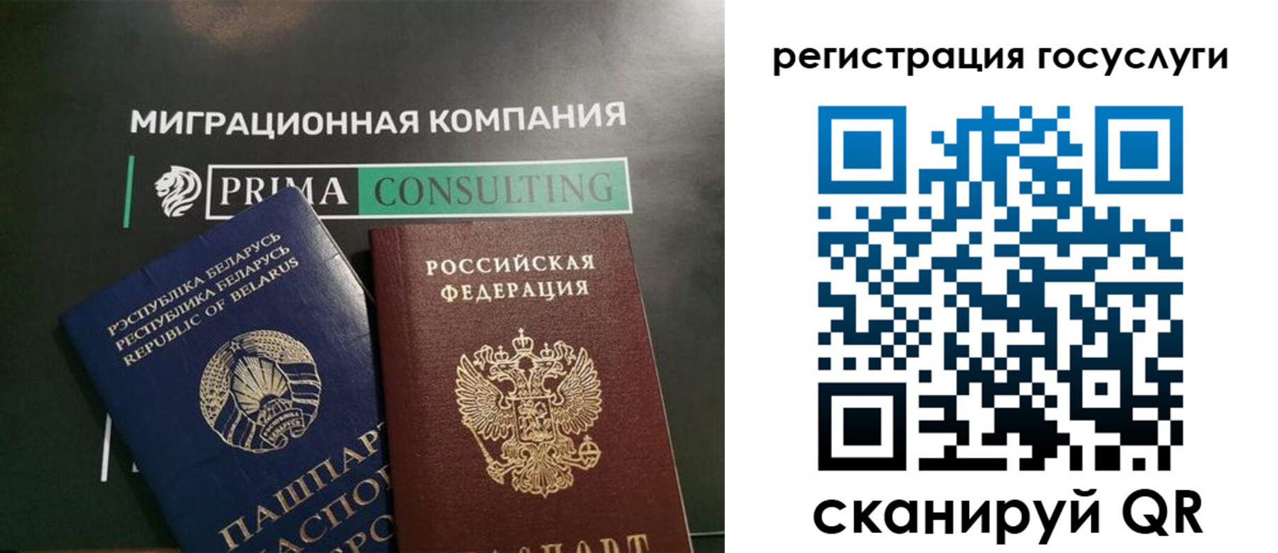 прописка гарантия в Болотном